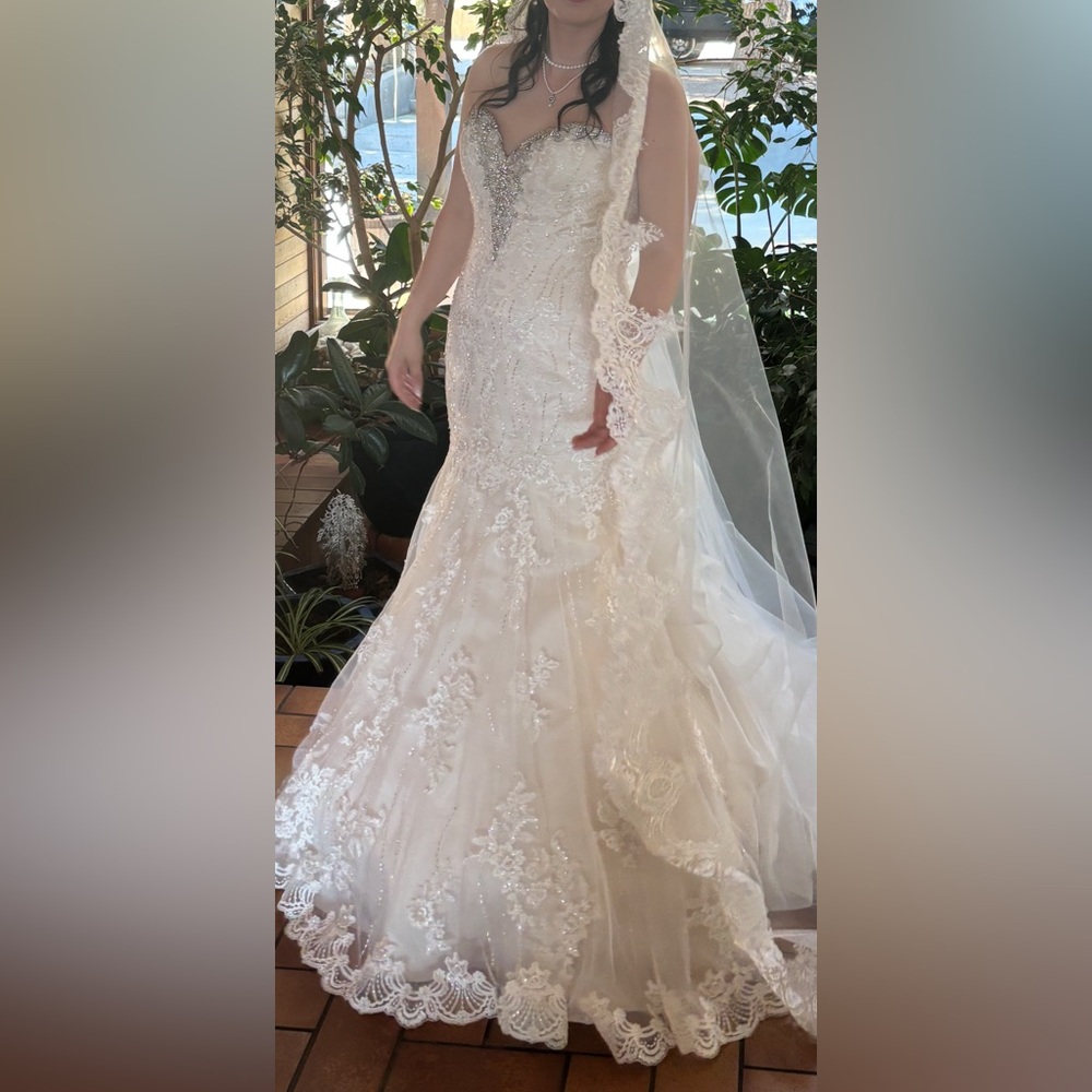 Exquisite Ivory Lace Bridal Gown